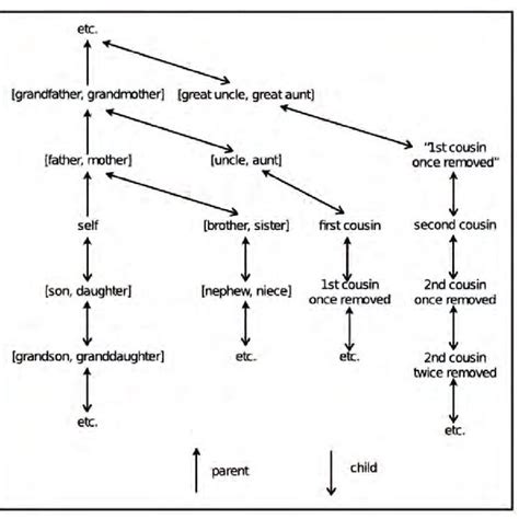 Simplified Kin Term Map For The English Kinship Terminology Affinal