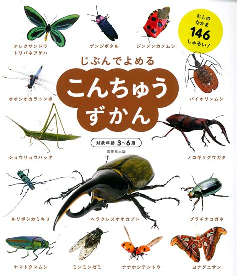 楽天ブックス こんちゅうずかん 成美堂出版編集部 9784415328522 本