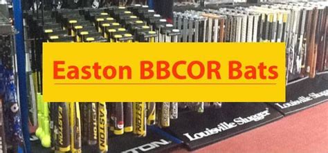 Easton BBCOR Bats - One Of Top Brands - Bats Finder