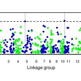 Mapping Statistical Associations Between SNP Genotypes And Bleaching