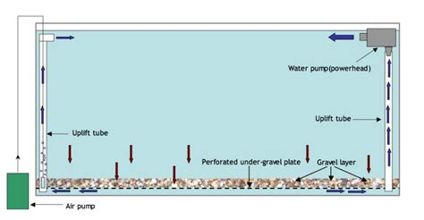 851 Under Gravel Aquarium Filters In Depth Aquainfo