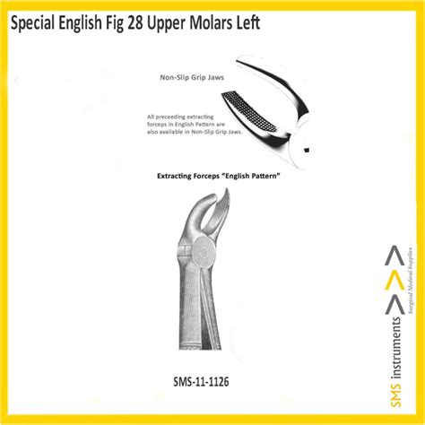 Extracting Forceps Special English Pattern Fig Upper Molars Sms