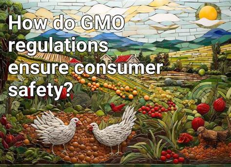 How do GMO regulations ensure consumer safety? – Agriculture.Gov.Capital