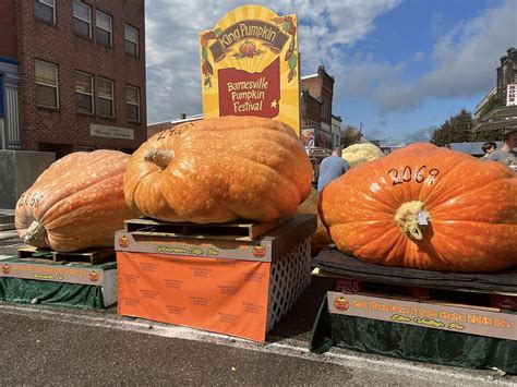 Giant Pumpkin Breaks Records In Ohio Pumpkin Festival Scioto Post