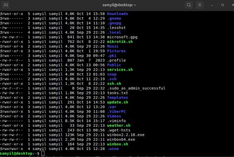 bash terminal aytisbrvis