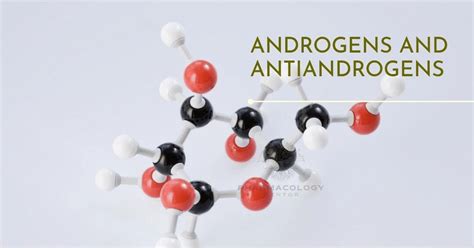 Androgens and Antiandrogens | Pharmacology Mentor