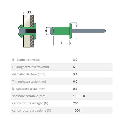 Rivetti A Strappo Rivit Aft X Testa Tonda Chiodo In Acciaio E