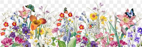 Simple Spring Flowers Clip Art Set Clip Art Library