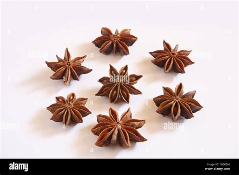 Chinese Spice Star Anise Anasphal Illicium Verum On White Background