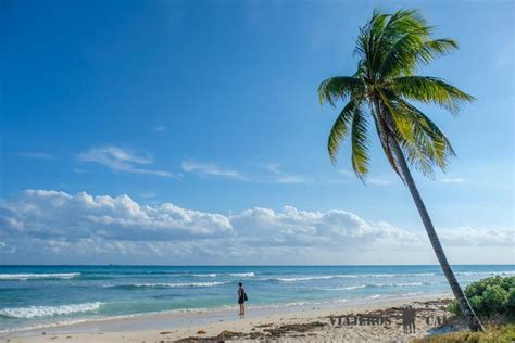 Cosas Que Hacer En Playa Del Carmen Imprescindibles