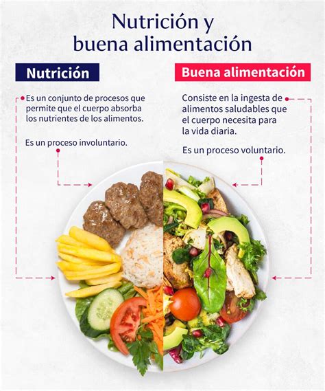 La Importancia De La Nutrici N Las Recetas De Laura