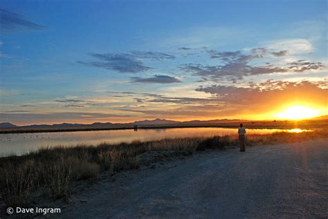 Cochise Lake Birdwatching - Arizona Skywatch #6