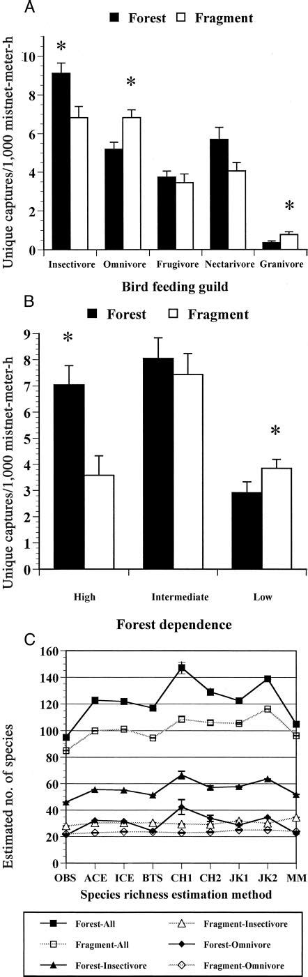 Comparisons Of Abundance And Species Richness Of Birds Captured With