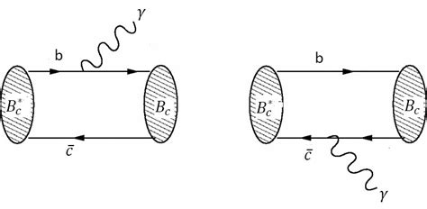 Lowest Order Feynman Diagram Contributing To B C Radiative Transition