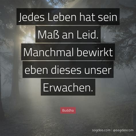 Buddha Zitat Jedes Leben hat sein Maß an Leid sagdas