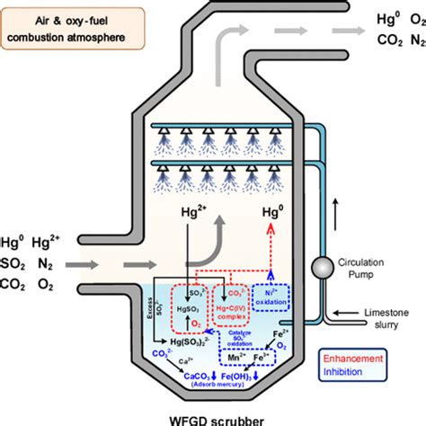 Characteristics Of Mercury Re Emission And Migration In A Lab Scale Wet