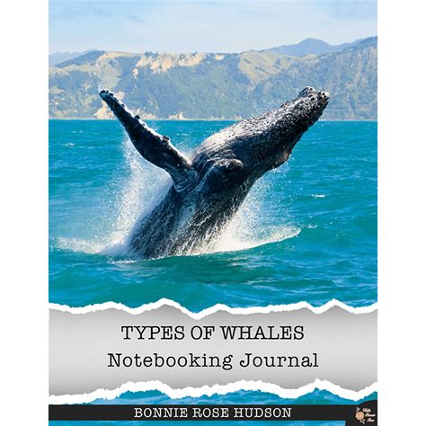 Types of Whales Notebooking Journal (e-book) - Homeschool Curriculum Fair