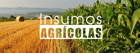 ¿sabe Qué Son Los Insumos Agrícolas Descúbralo Aquí