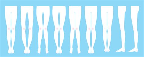 Shape Of The Legs Stock Illustration Download Image Now Istock