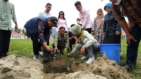 Kementan Alokasikan Bibit Kelapa Genjah Di Sulteng Media Sulawesi