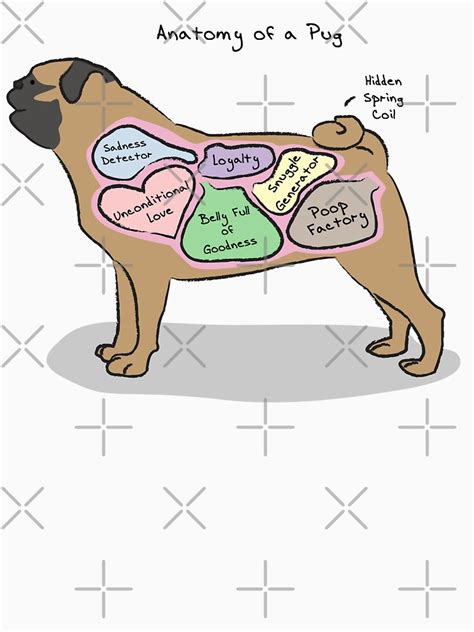 "Anatomy of a Pug" T-shirt by MommySketchpad | Redbubble