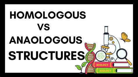 Homologous Structures Vs Analogous Structures Youtube