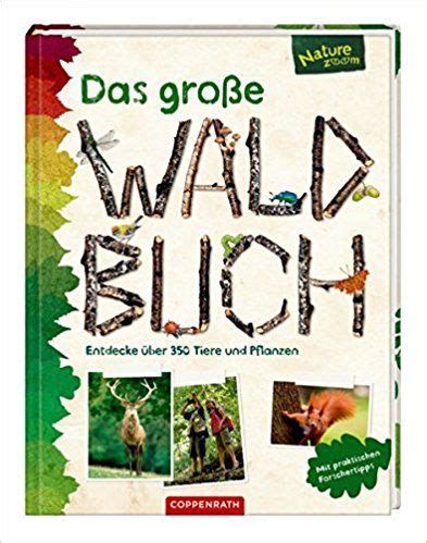 Das Gro E Waldbuch Entdecke Ber Tiere Und Pflanzen Amazon De