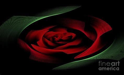 Creative Red Rose Digital Art By Larissa Antonova