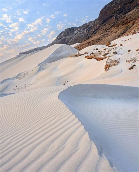 Pin By Louise Bryar On Yemen Arabian Peninsula In Socotra Top