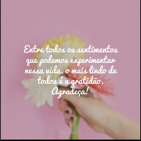 50 frases de agradecimento à vida para espalhar gratidão