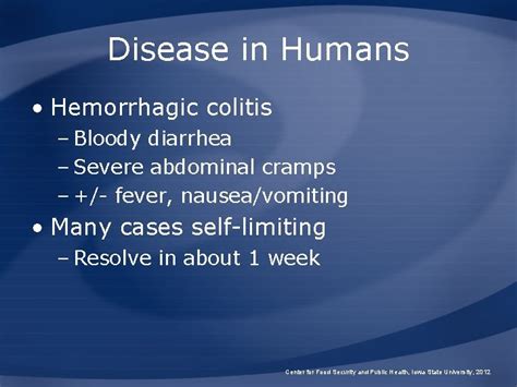 Enterohemorrhagic Escherichia Coli Infections Verocytotoxin Producing E Coli