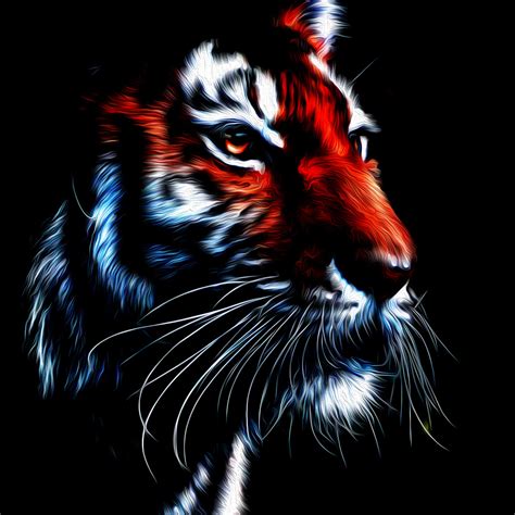 Oil Paint Tiger In Photoshop on Behance