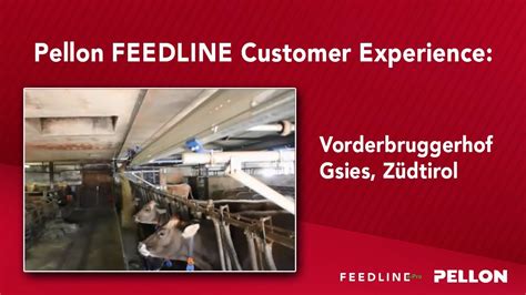 Automated Feeding System Pellon Feedline Automated Tmr Feeding In