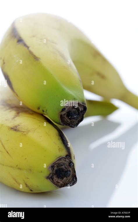 Canary Island Bananas Stock Photo Alamy