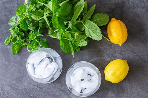 Citrus And Mint Infused Water Momsdish