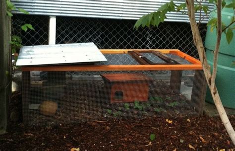 Show Me You Quail Pens Quail Pen Quail House Backyard Farming