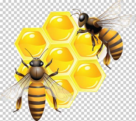 Honey Bee Clip Art Free Printable