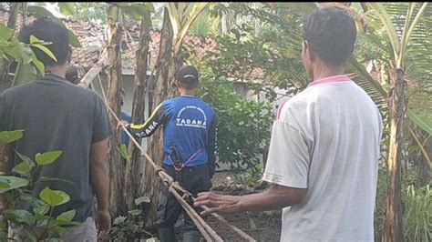 Tagana Evakuasi Sejumlah Pohon Tumbang Yang Timpa Rumah Warga Di