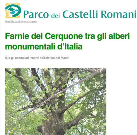 Querce Del Parco Dei Castelli Romani Tra Gli Alberi Monumentali D