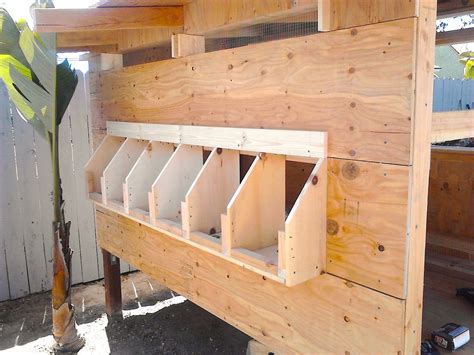 Chicken Coop Nesting Box Ideas Creating The Perfect Space For Your