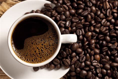 Fresh roasted coffee. stock photo. Image of liquid, grain - 24117714