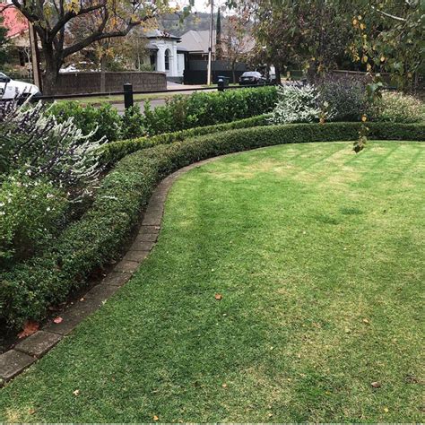 Lawn Mowing Services Adelaide The Garden Guise