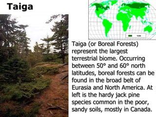 north america map study