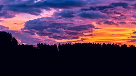 1920x1080 Sunset Clouds Forest 4k Laptop Full HD 1080P ,HD 4k Wallpapers,Images,Backgrounds ...