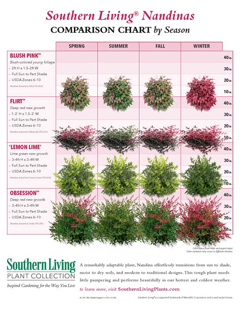 Nandina Varieties Chart