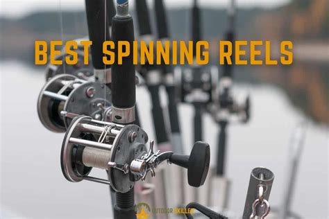 The 7 Best Musky Reels In 2021 By Experts