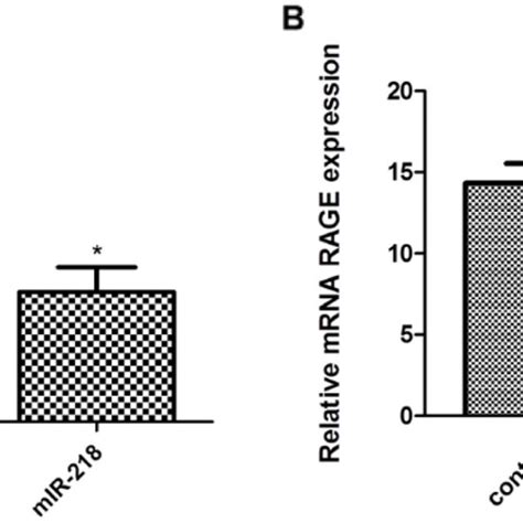 MRNA Expressions Of HMGB1 And RAGE In HeLa CC Cells A Expression Of