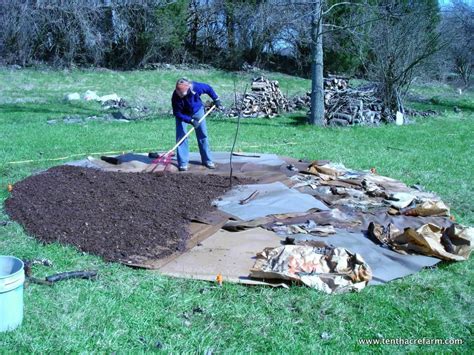 Ways To Improve The Quality Of Your Soil Tenth Acre Farm