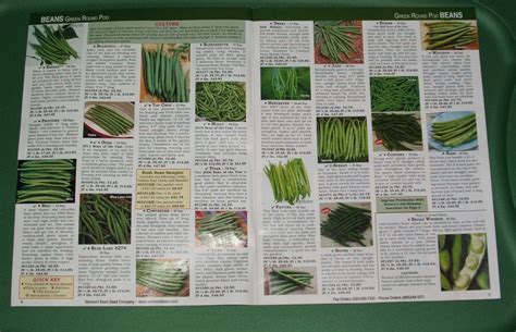 God's Growing Garden: Seed Catalogs - 1st Review