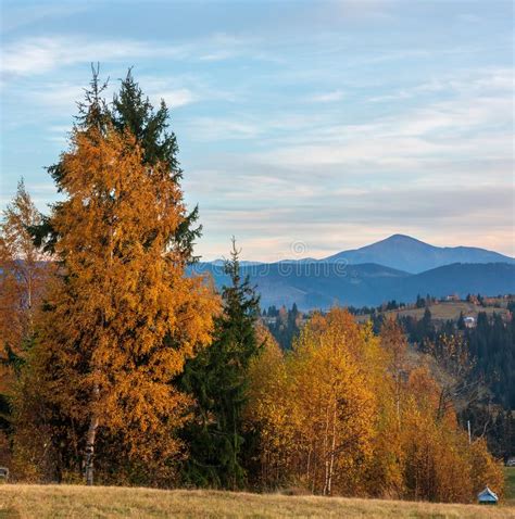 Evening Autumn Carpathian Mountain Ukraine Stock Photo Image Of